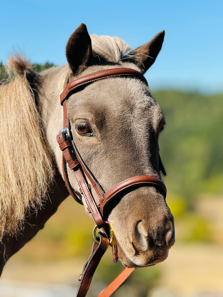 Miniature Horse Brown Leather English Bridle & Braided Reins Set