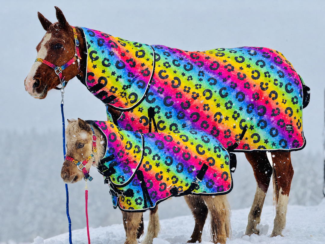 Star Point 1200D Waterproof Turnout Blanket — 220g Insulation | Rainbow Rodeo Print (38-80")