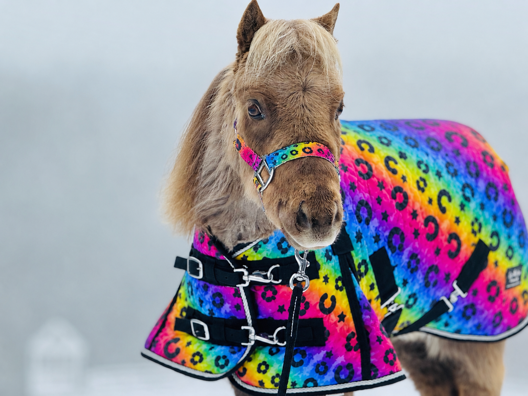 Star Point 1200D Waterproof Turnout Blanket — 220g Insulation | Rainbow Rodeo Print (38-80")