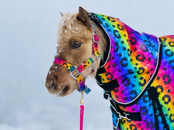 Star Point 1200D Waterproof Turnout Blanket — 220g Insulation | Rainbow Rodeo Print (38-80")