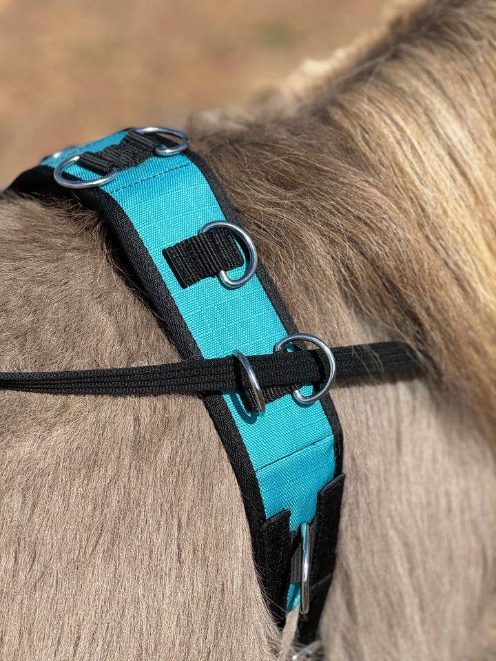 Surcingle Set Miniature Horse-Pony Ground Driving Surcingle/Reins Set – Star Point ...