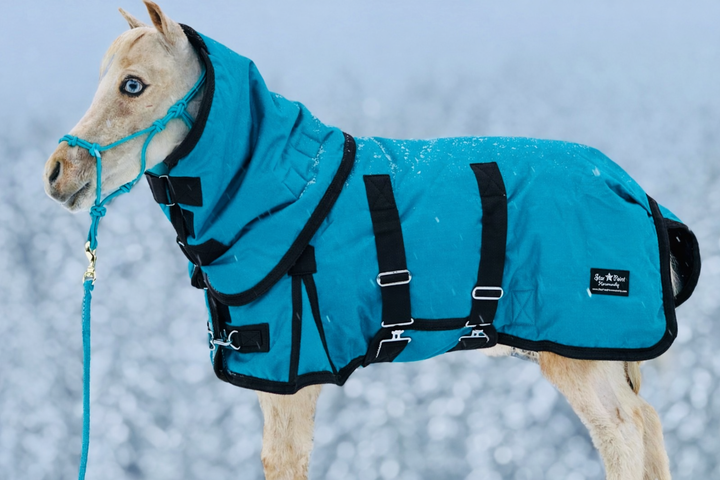 Star Point 1200D Waterproof Turnout Bellyband Blanket — 400 G Insulation (38-54")