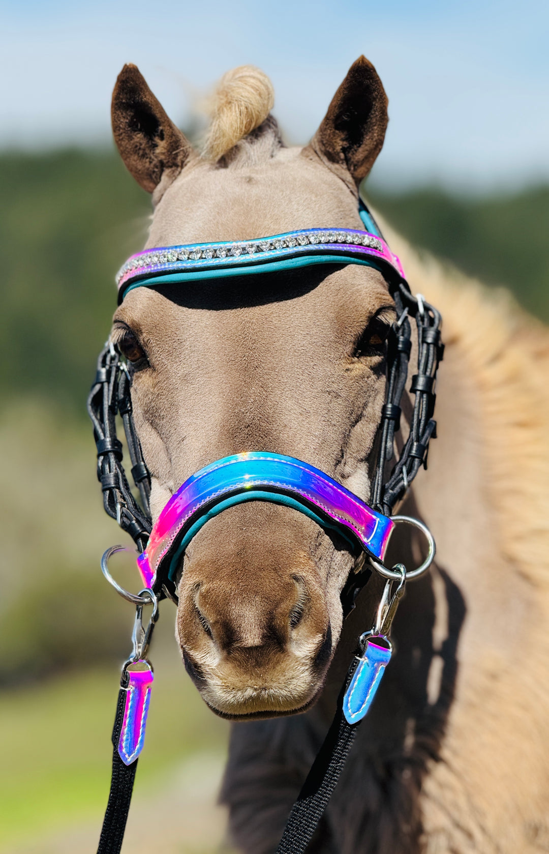 bridle horse gear Holographic Side Pull Bridle & Reins Set (Mini to Horse Size) Miniature Horse 30-38”