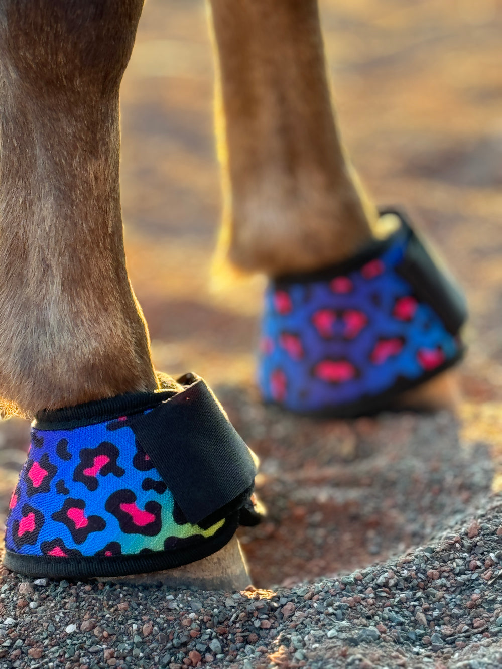 Mini Horse Bell Boots