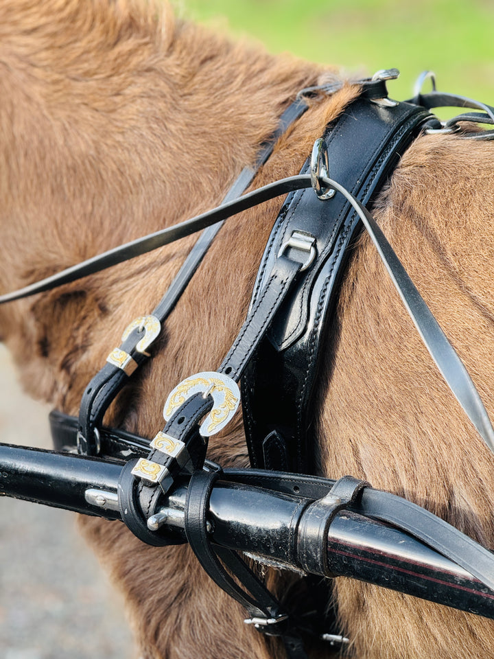 Miniature Horse Leather Show Harness Set - 30-38" Mini