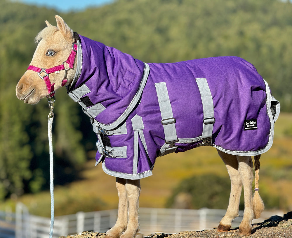 1200 Denier Bellyband Horse Blanket