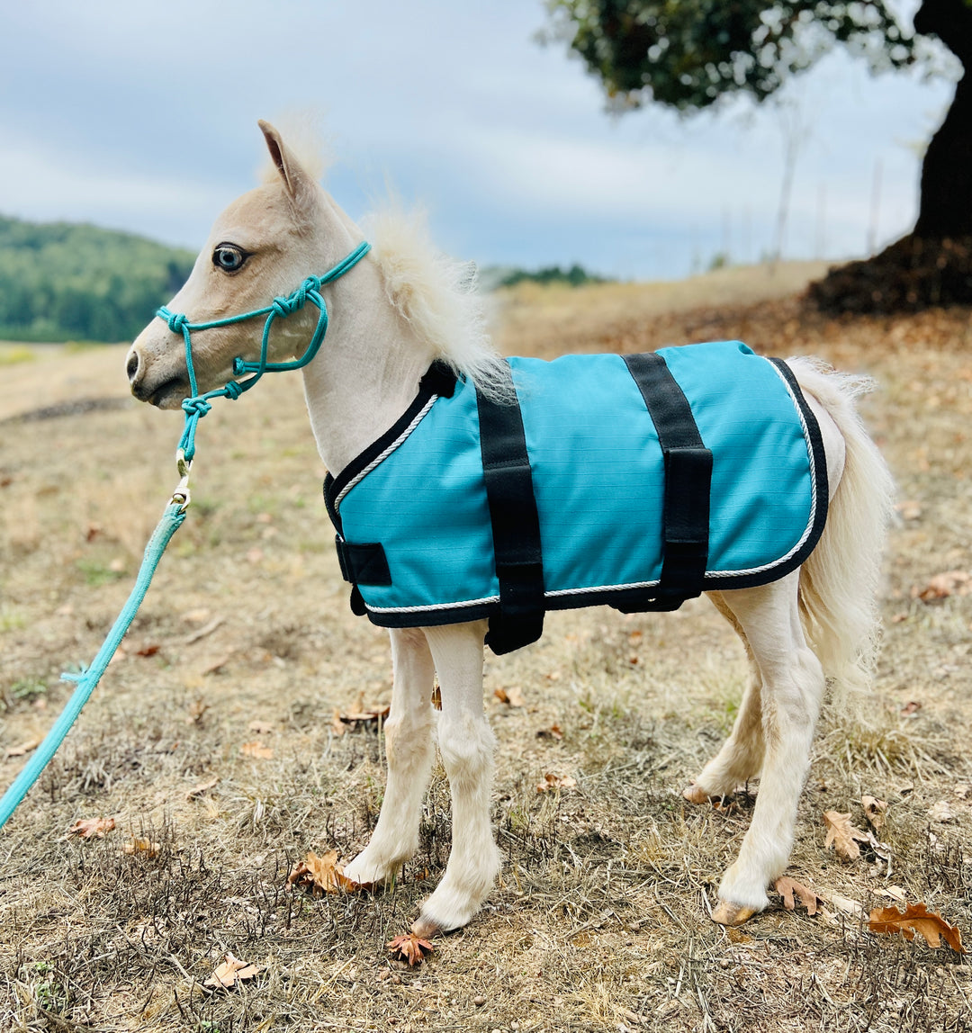Foal/Small Animal 100 Gram Blankets - Star Point Horsemanship