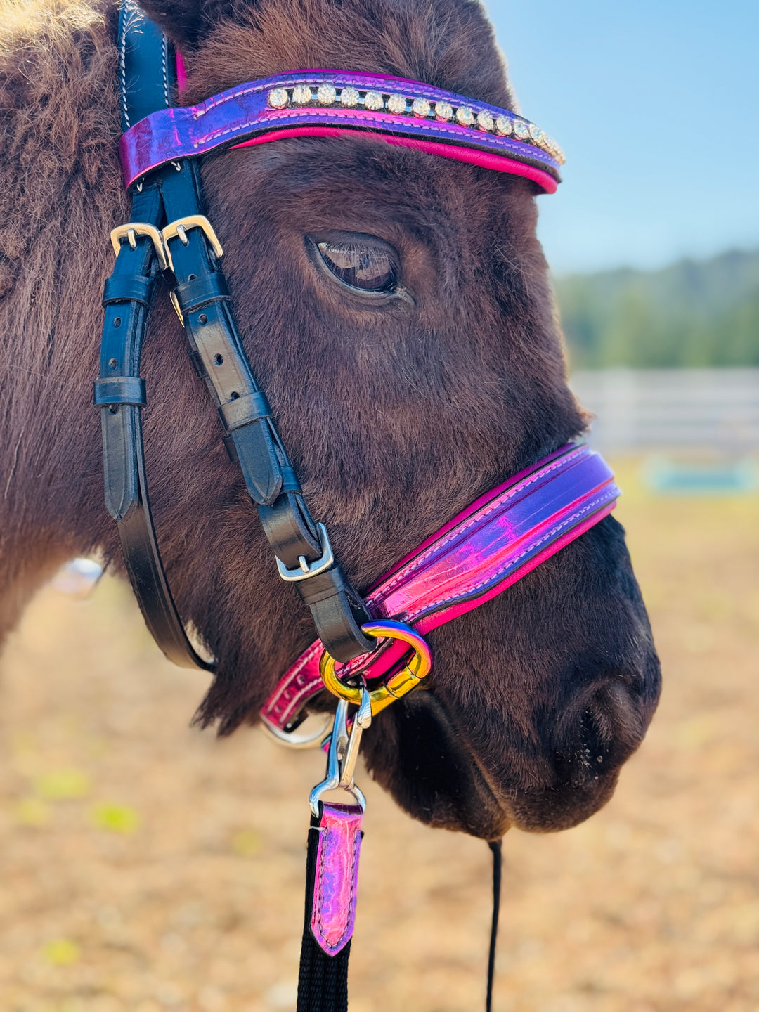 Mini selle en cuir rose 8 Western Miniature Horse Trail set Mini selle en cuir rose 8 Western Miniature Horse Trail set