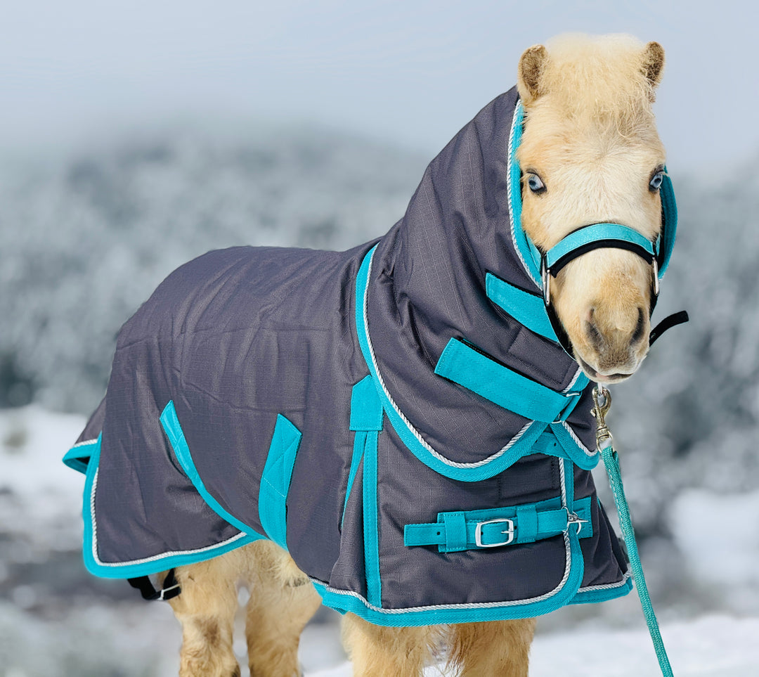 Star Point 1200D Waterproof Turnout Blanket — 400g Extra-Heavy Insulation (38-54")