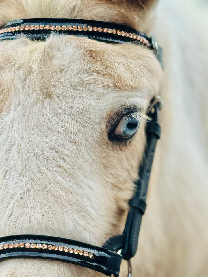 Miniature Horse Hunter Bridle & Braided Leather Lead Set