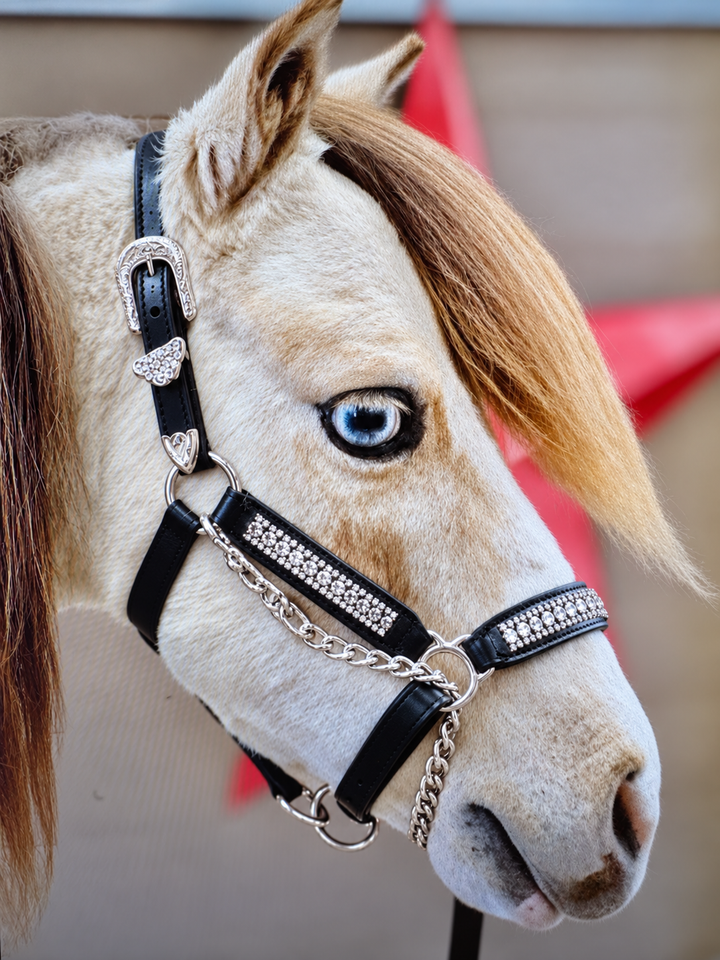 Miniature Horse Rhinestone Leather Show Halter & Lead Set