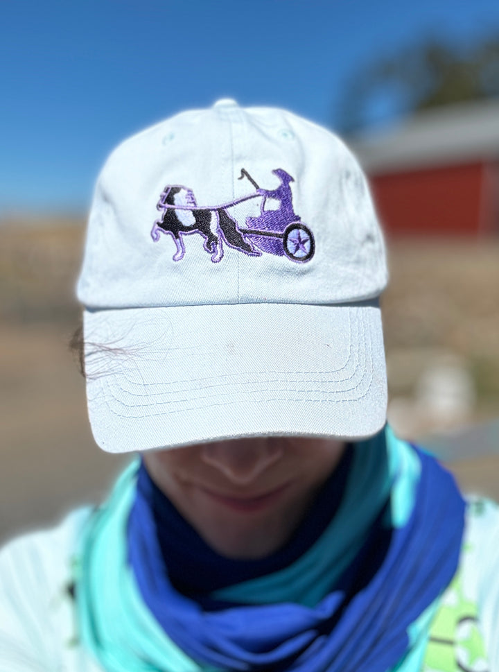 Pinto Driving Pony Pastel Hat