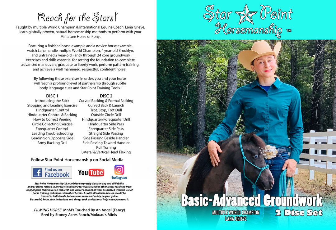 ONE YEAR Miniature Horse Digital Subscription Training Package