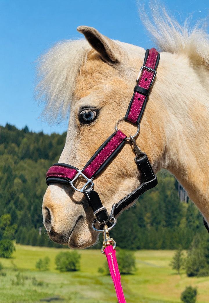 Star Point Sparkle Glitter & Leather Halter