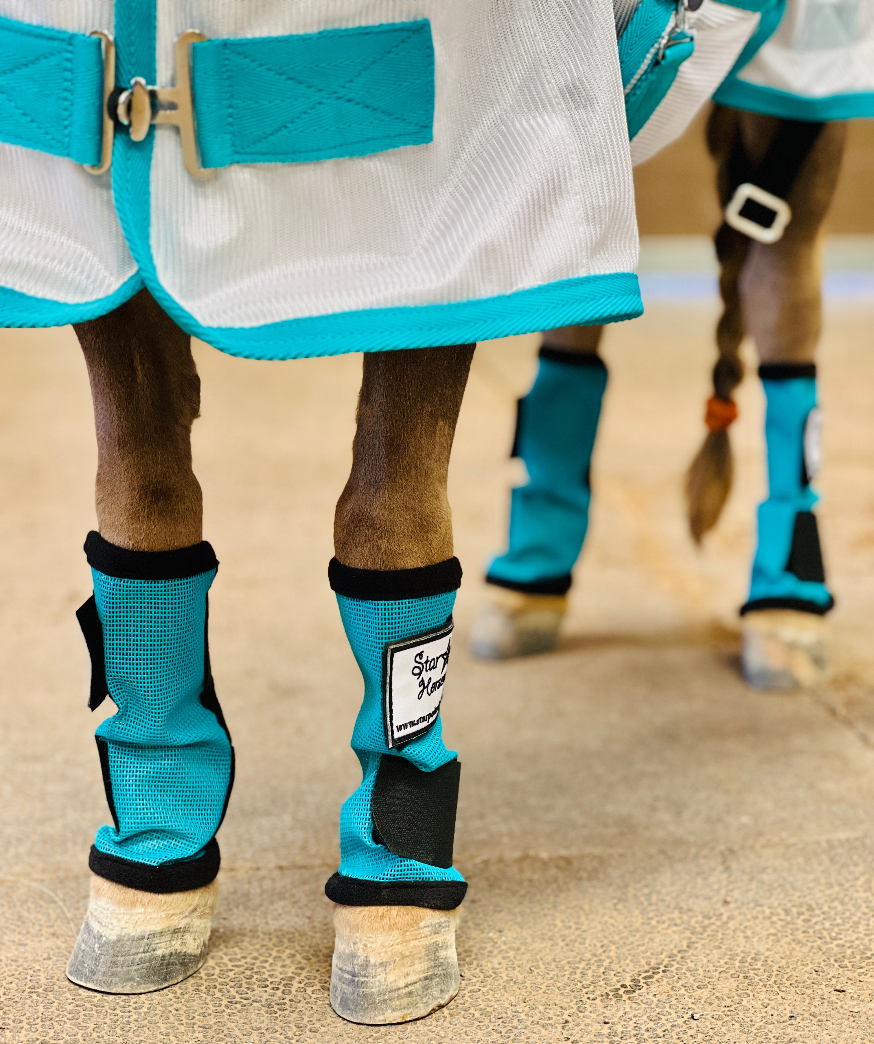 Miniature horse fly clearance boots