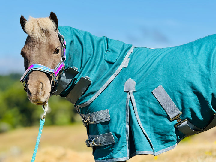 Miniature Horse Cotton Hooded Stable Show Sheet - 38-50"