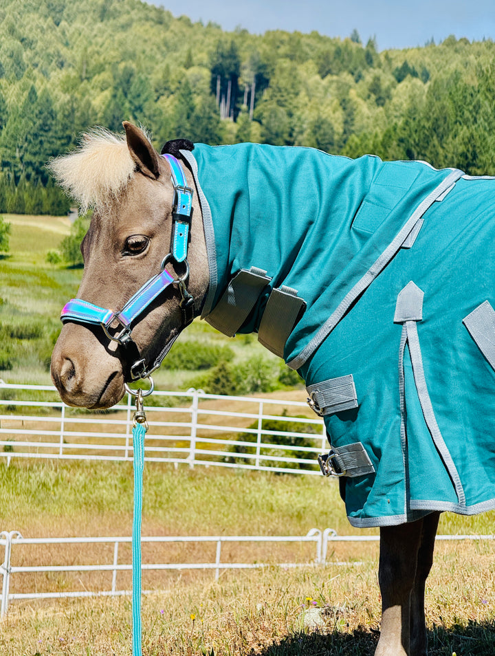 Miniature Horse Cotton Hooded Stable Show Sheet - 38-50"