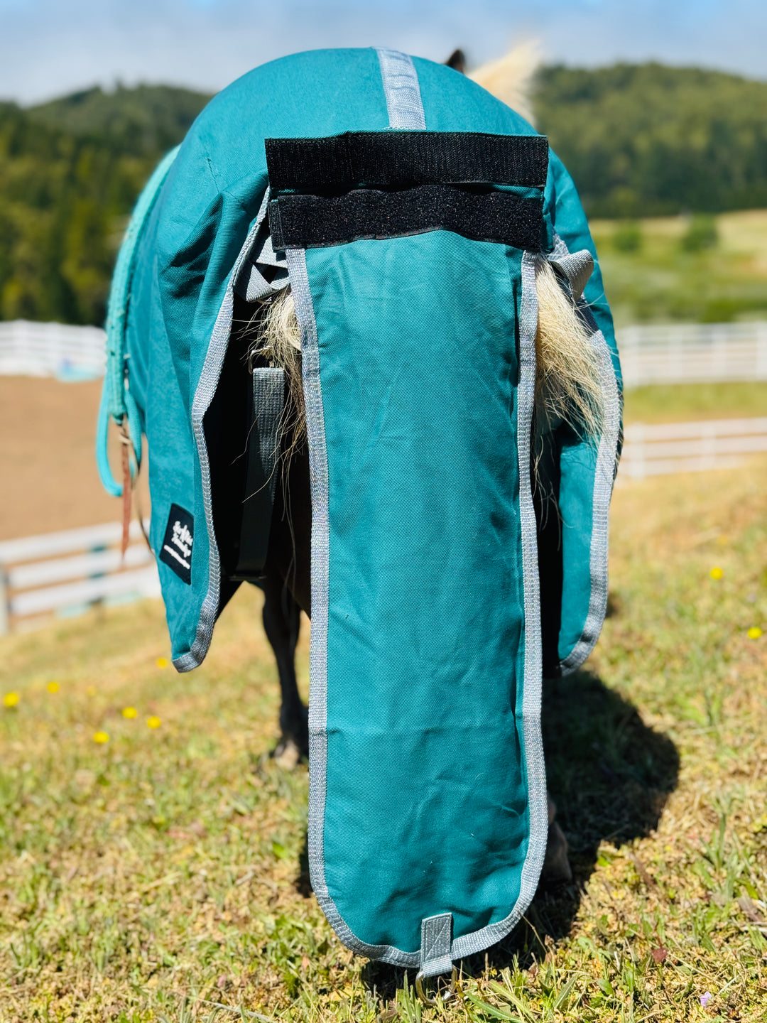 Miniature Horse Cotton Hooded Stable Show Sheet - 38-50"