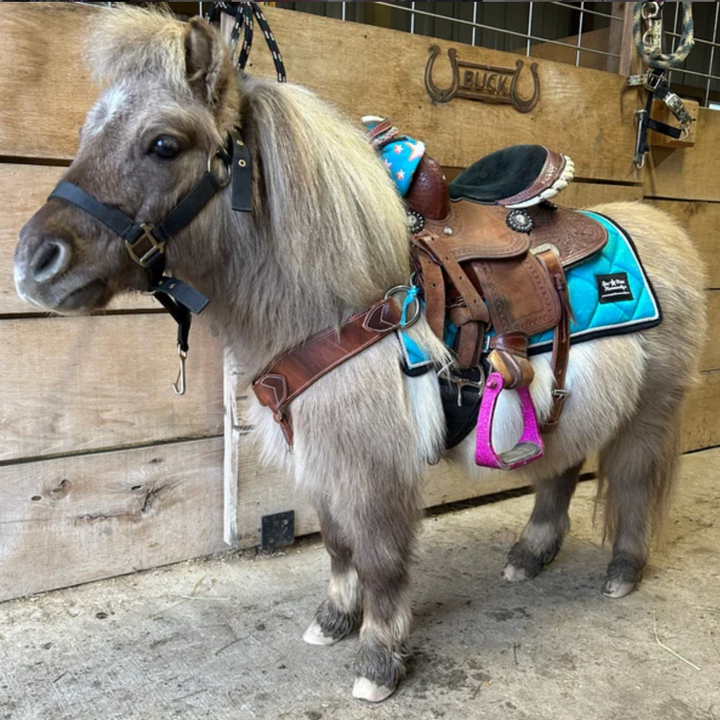 Miniature Horse-Pony Western Saddle Pad