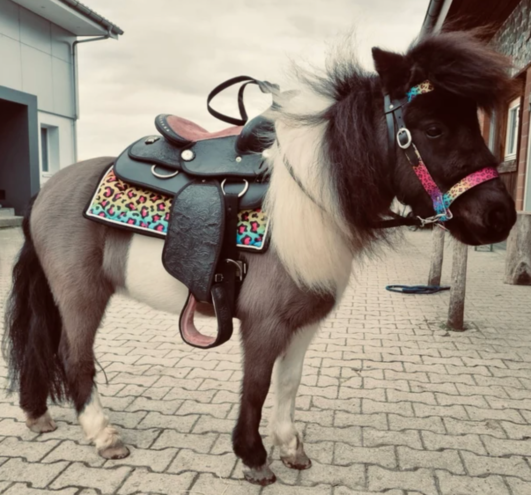 Miniature Horse-Pony Western Saddle Pad