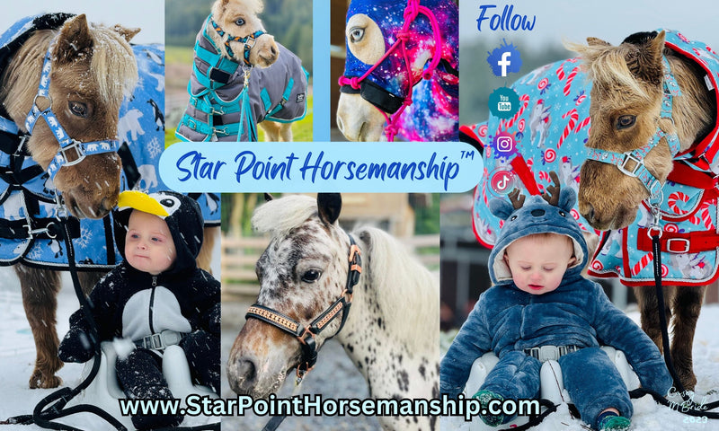 Star_Point_Horsemanship_Logo