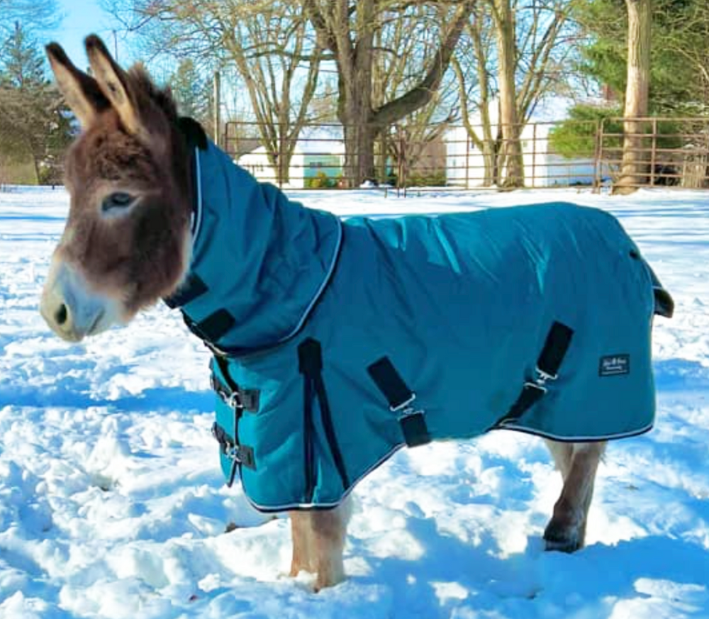 350 G 1200 D RipStop Waterproof Hooded Blanket - 34-58" - Star Point Horsemanship