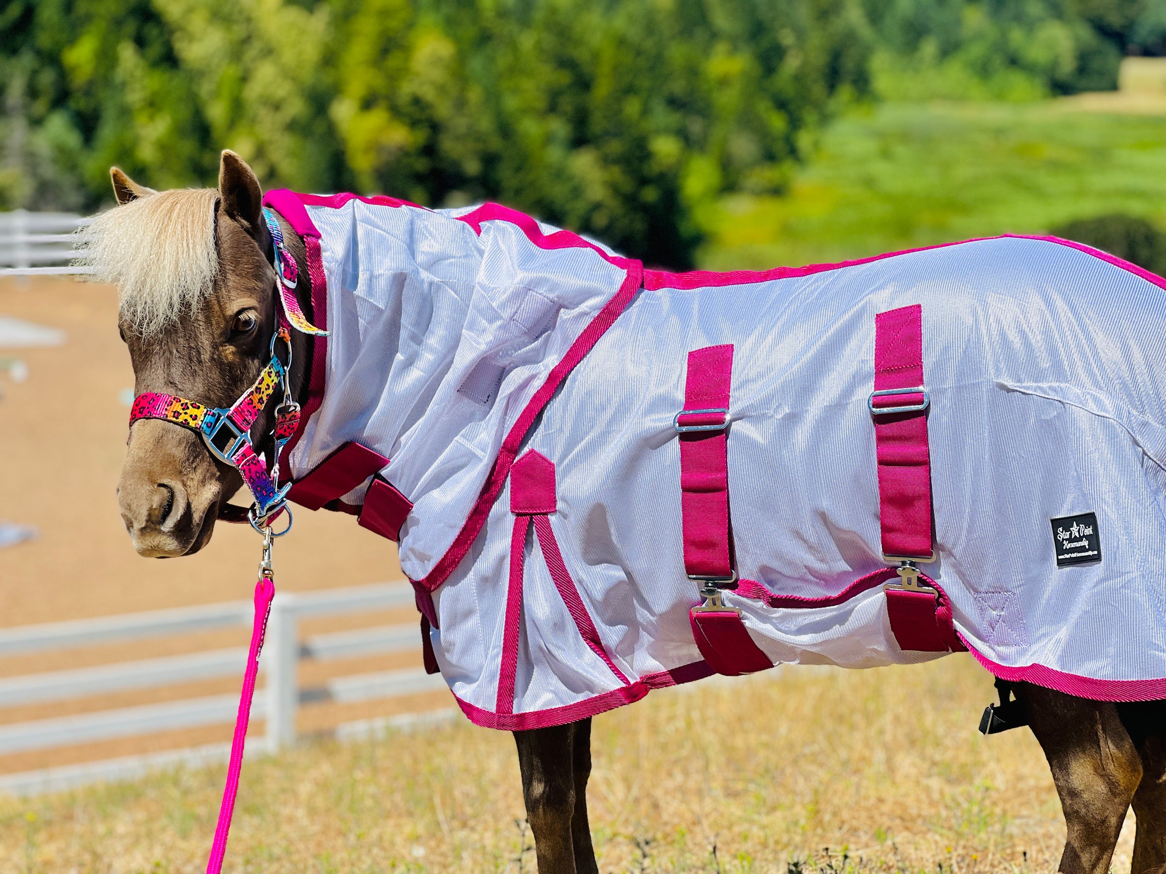 Hooded Bellyband Fly Sheets - 32-54" - Star Point Horsemanship