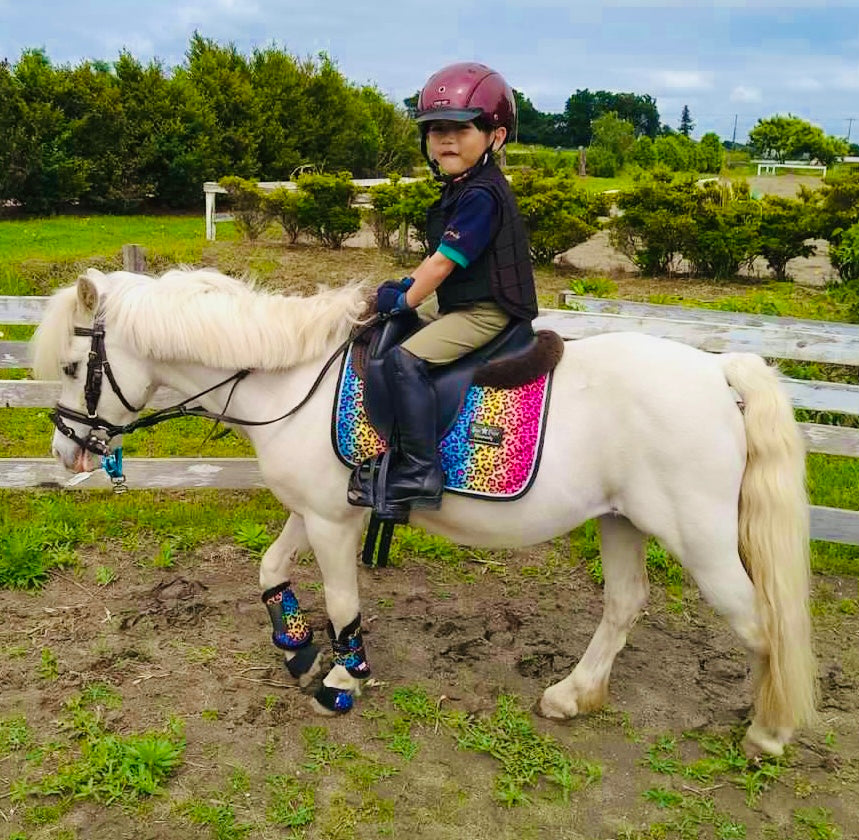 Mini Horse Saddle Pad: Ultimate Comfort for Your Tiny Steed
