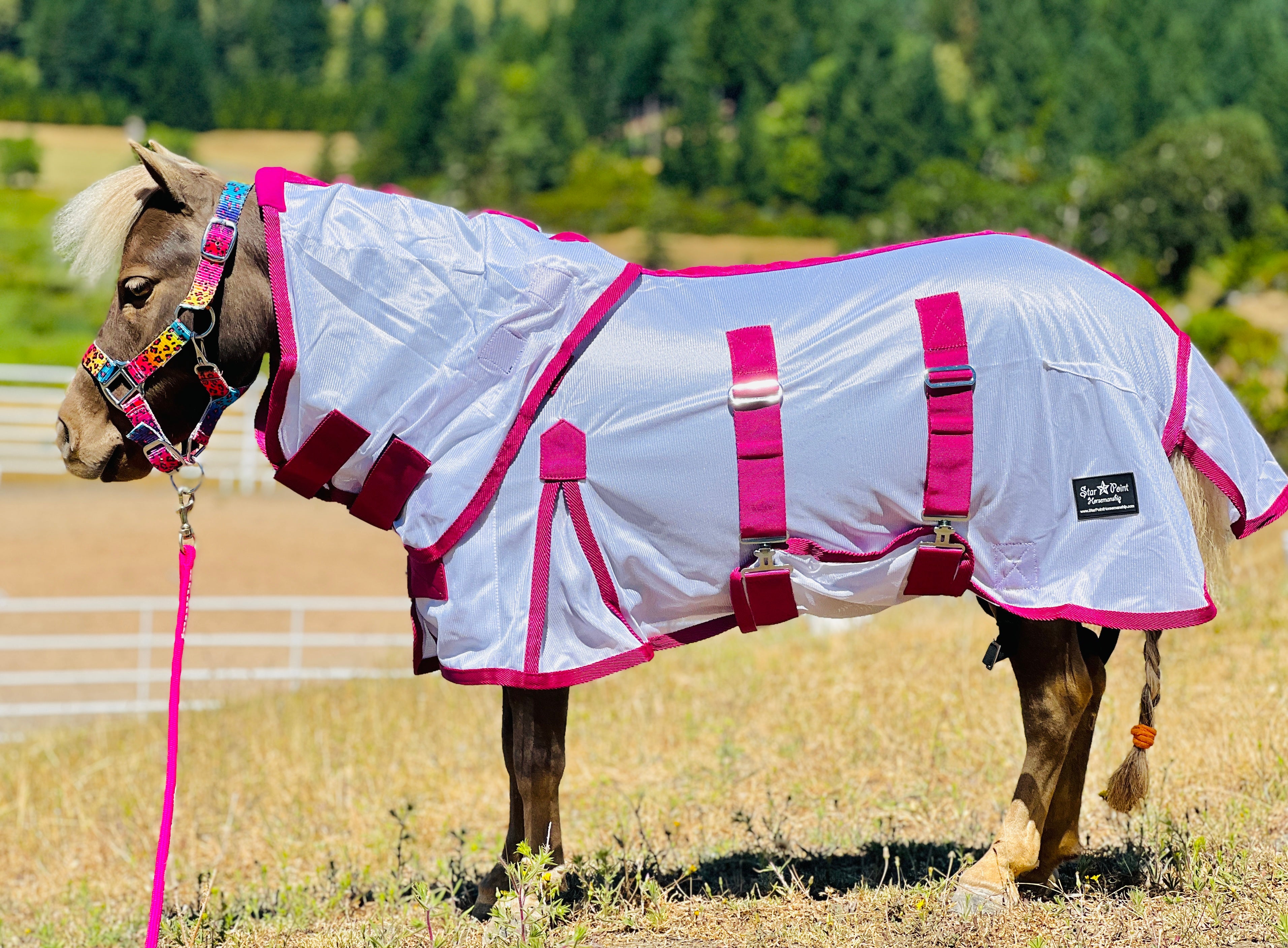 Mini Horse, Pony & Horse size Fly Masks, Leggings & Sheets – Star