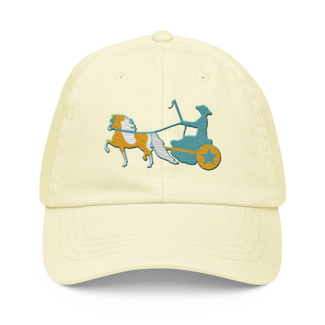 Palomino Pinto Driving Pony Pastel Hat