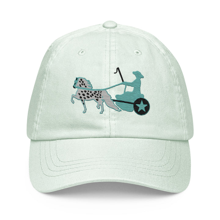 Women's Appaloosa Pony Pastel Hat