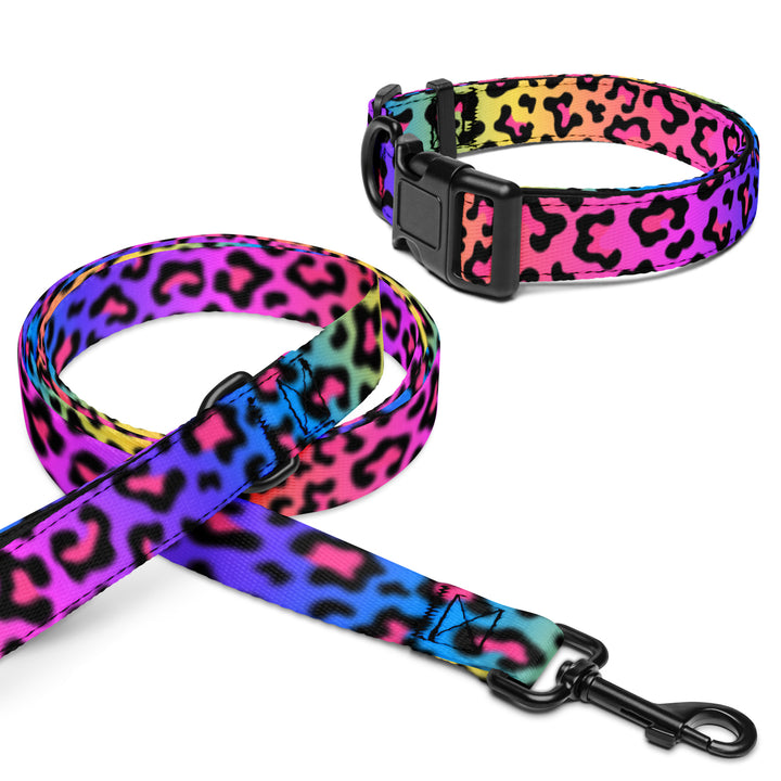 Rainbow Cheetah Pet Collar & Leash Set