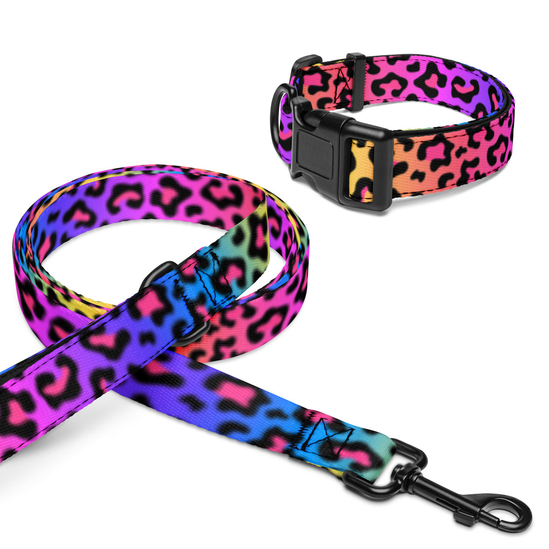 Rainbow Cheetah Pet Collar & Leash Set