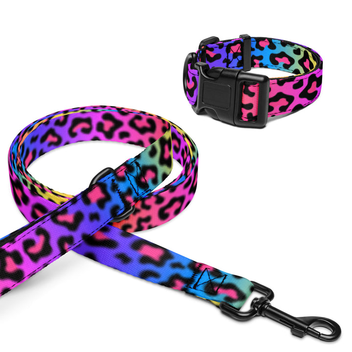 Rainbow Cheetah Pet Collar & Leash Set