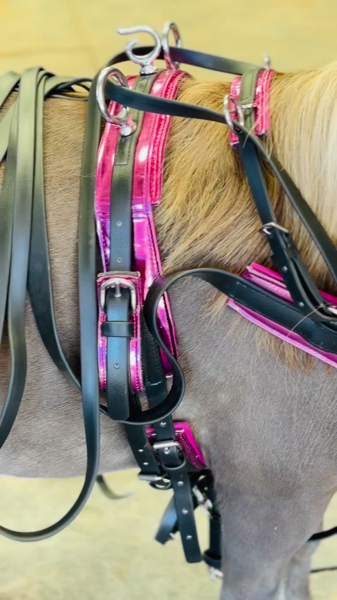 Miniature Horse Raspberry Holographic Leather Harness Set