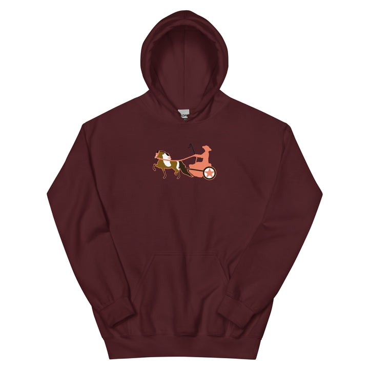 Bay Pinto Driving Pony Women's Hoodie