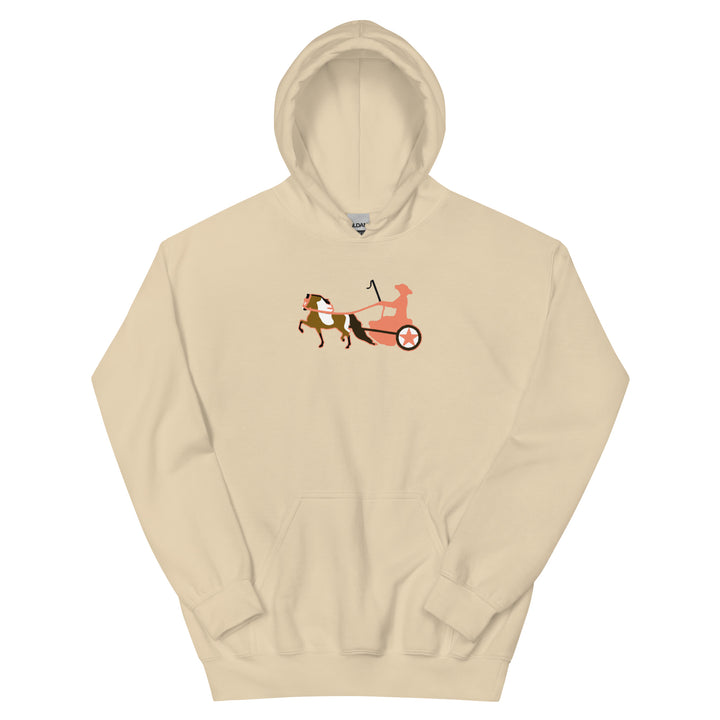 Bay Pinto Driving Pony Women's Hoodie