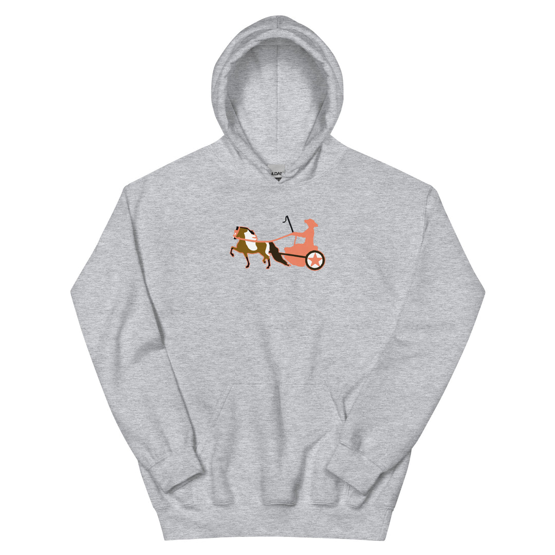 Bay Pinto Driving Pony Women's Hoodie