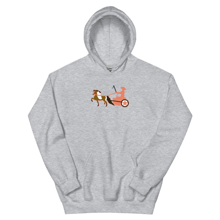 Bay Pinto Driving Pony Women's Hoodie