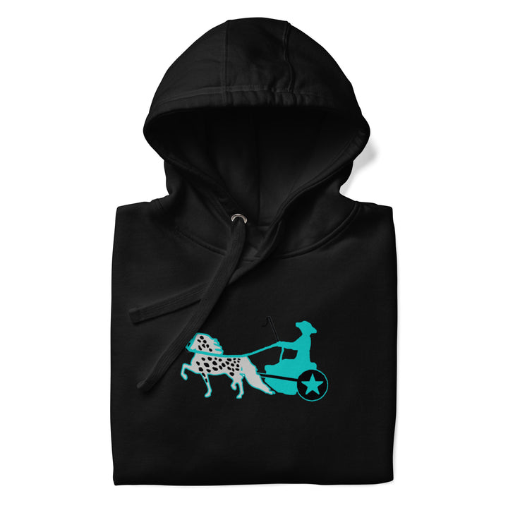 Appaloosa Driving Horse Women's Hoodie