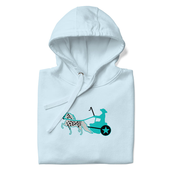 Appaloosa Driving Horse Women's Hoodie