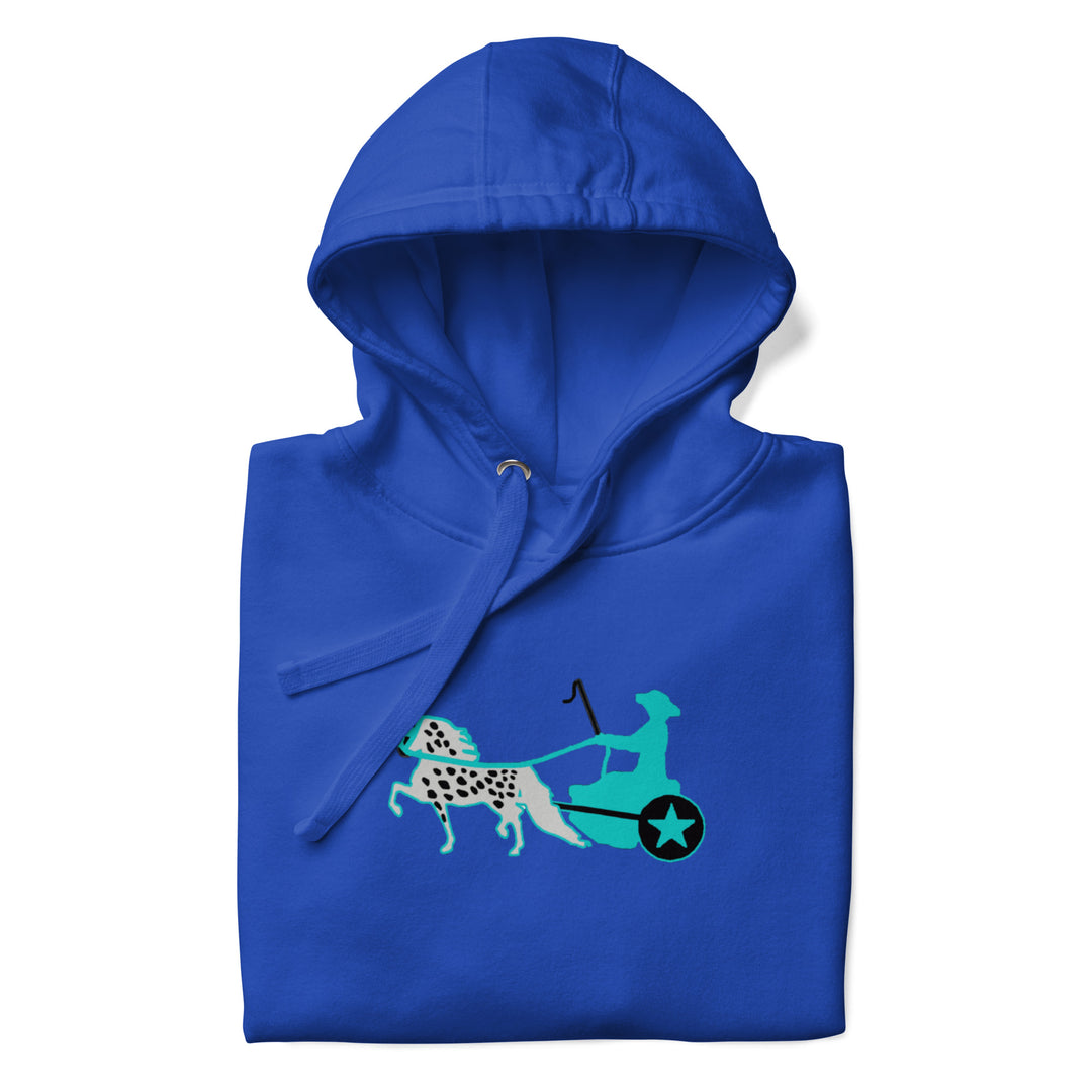 Appaloosa Driving Horse Women's Hoodie