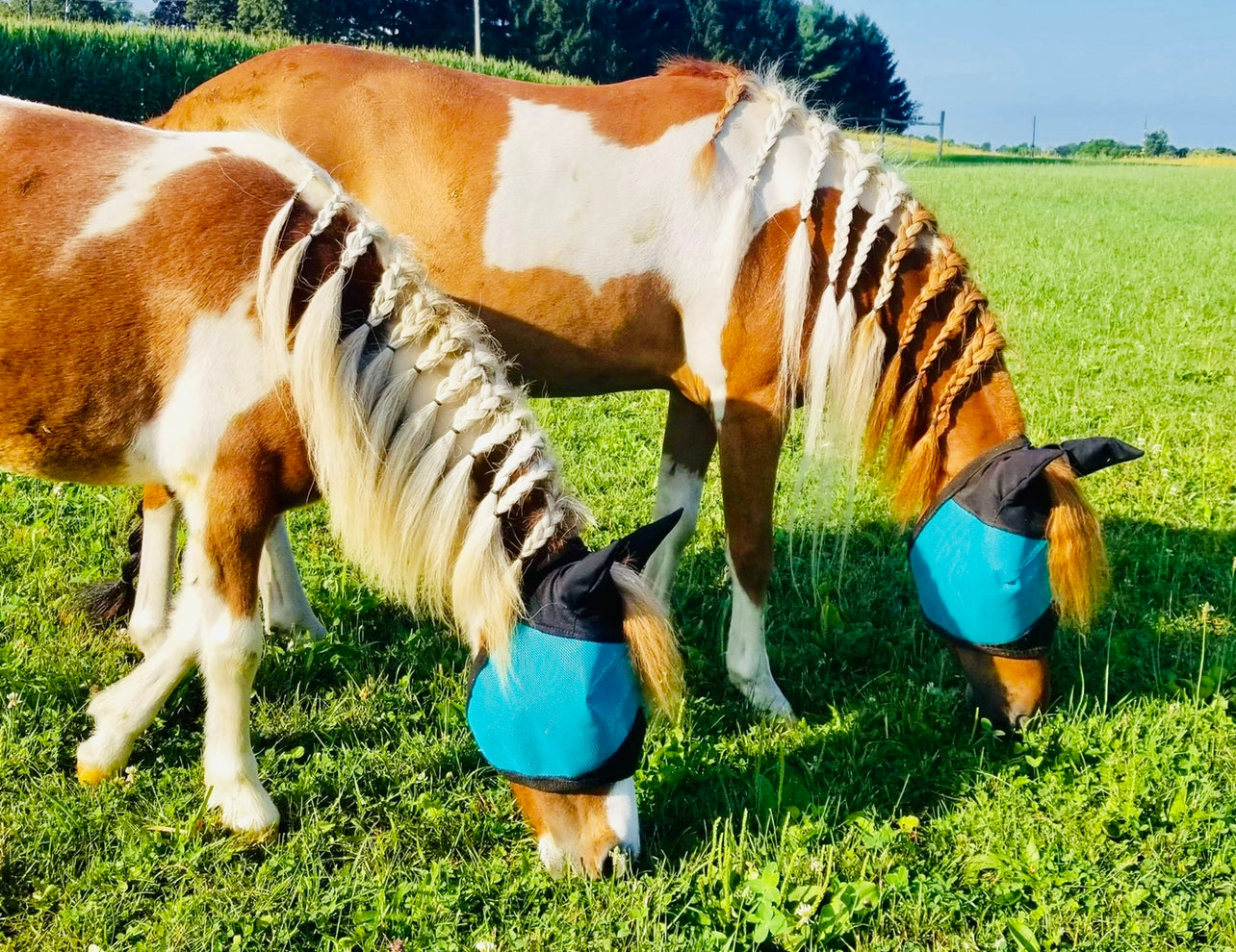 UV Fly Mask w/Ears - Mini to Horse Size - Star Point Horsemanship
