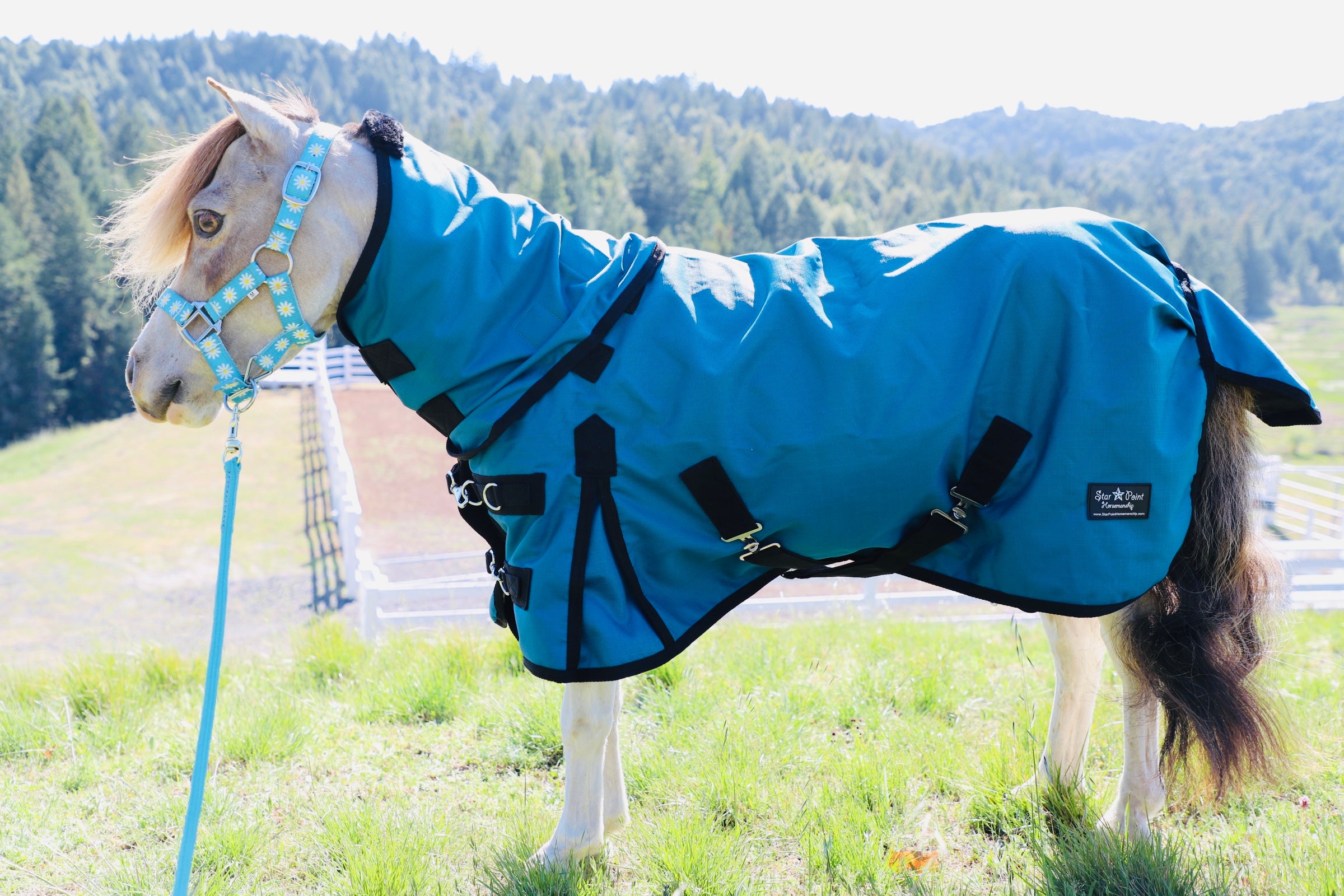 No Fill 1200D Ripstop Hooded Waterproof Horse Sheet - 38-80