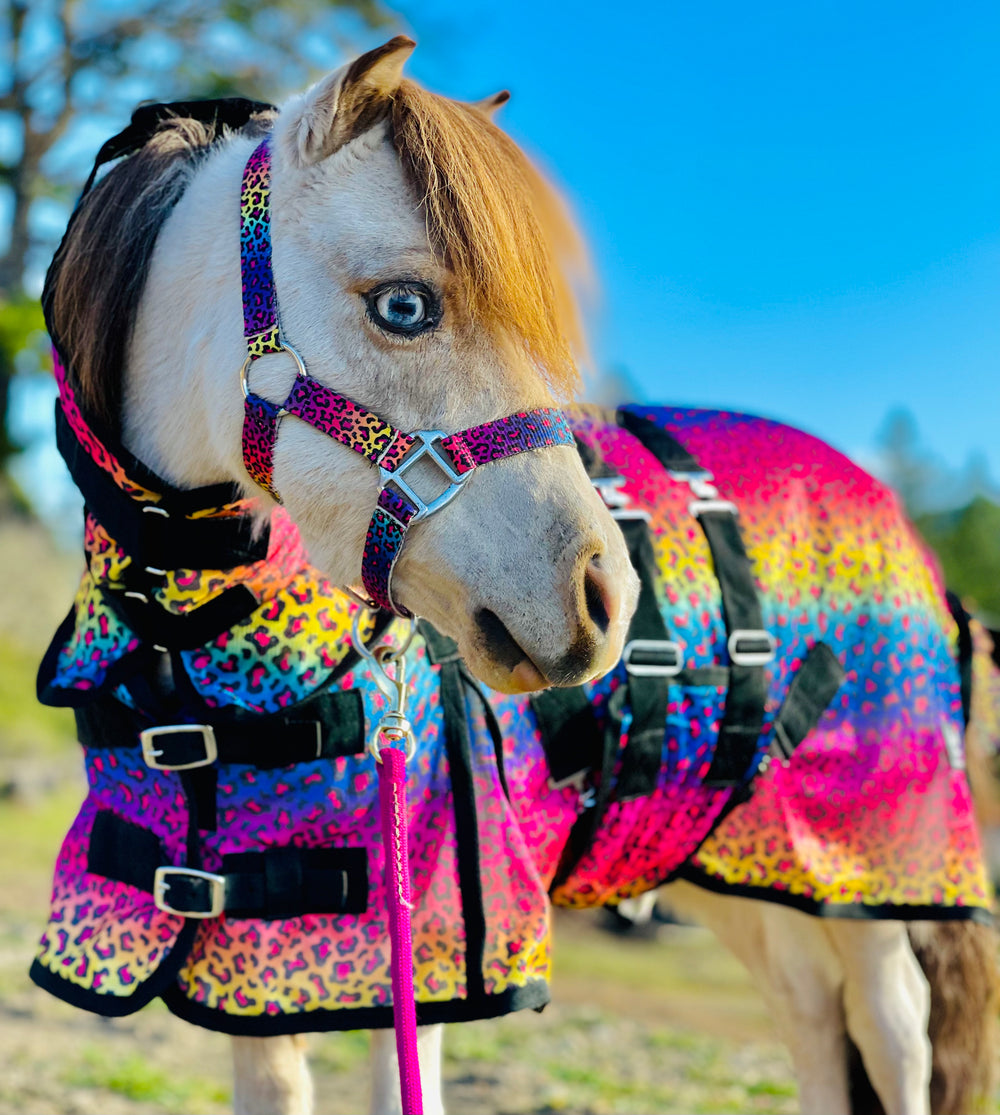 Hooded Printed Mesh UV Fly Sheets - 38-80" - Star Point Horsemanship
