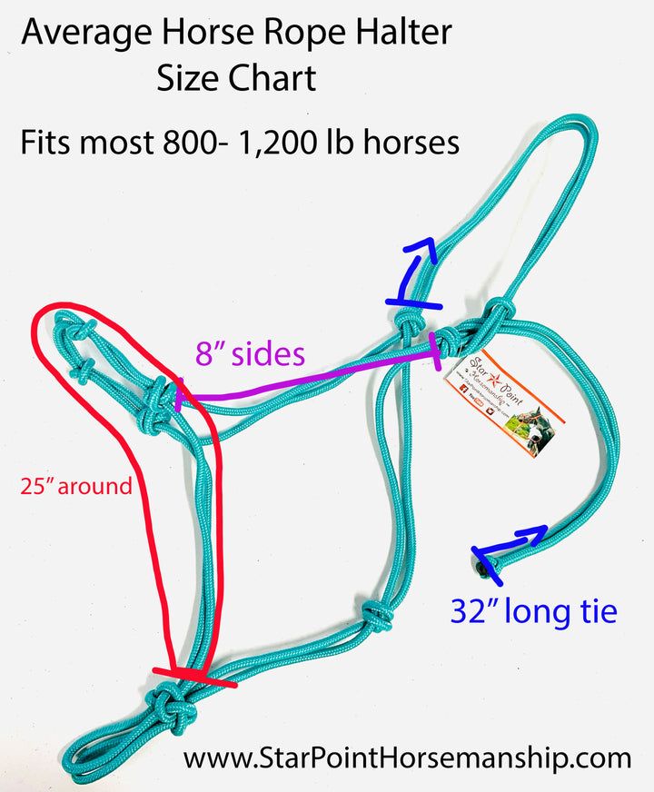 Average Horse 4 Knot Rope Halter & Lead Set - Star Point Horsemanship