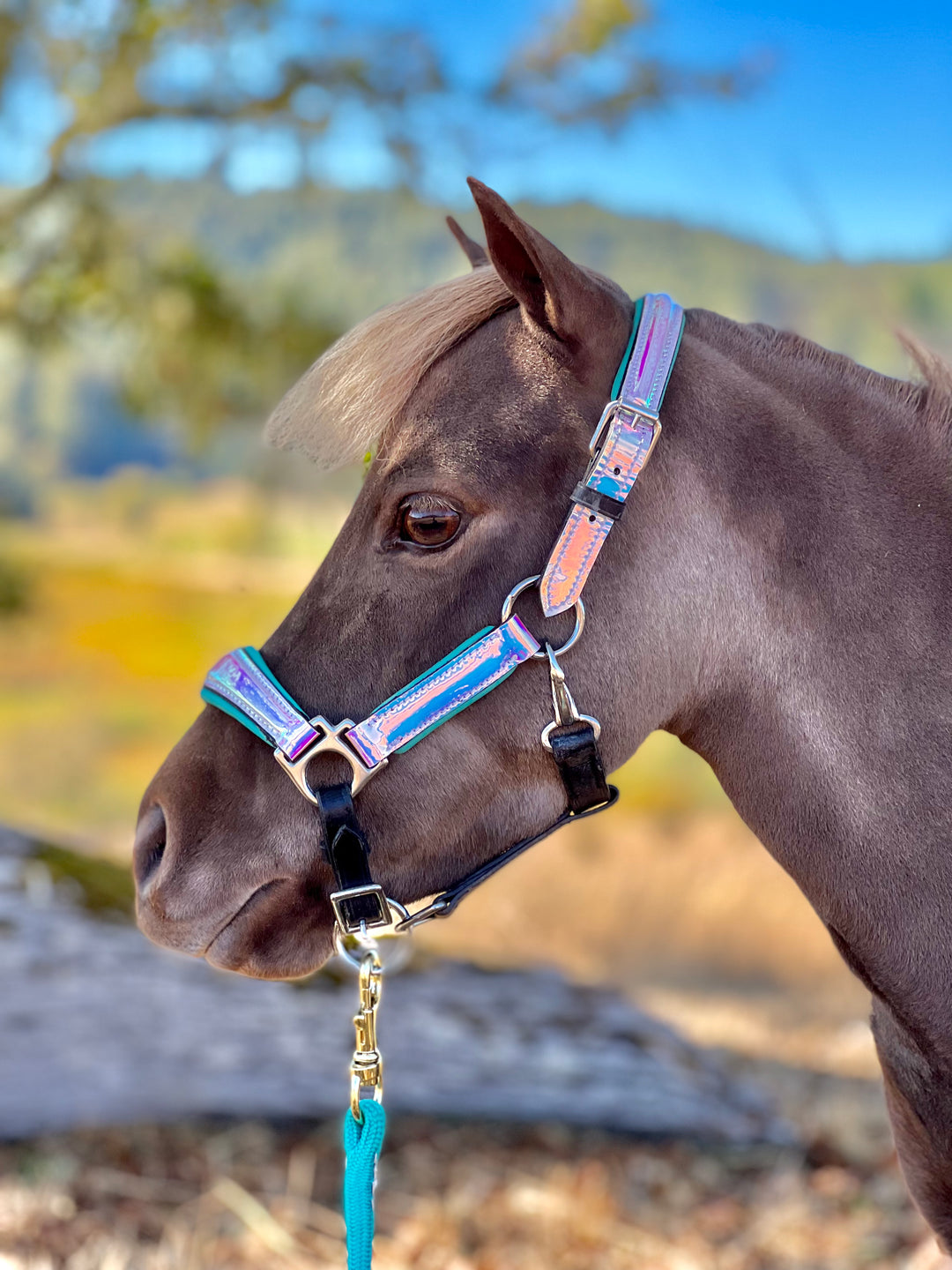 Holographic Padded Leather Halter - Mini to Horse Size - Star Point Horsemanship