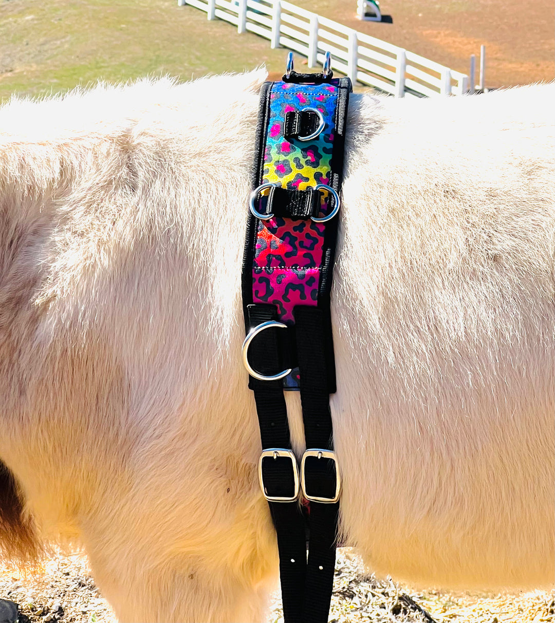 Surcingle Set Miniature Horse-Pony Ground Driving Surcingle/Reins Set – Star Point ...