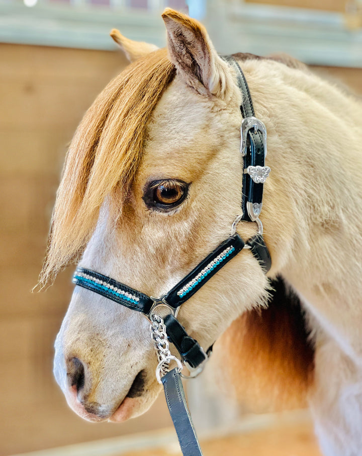 How to Bling Show Clothes – Little America Miniature Horses