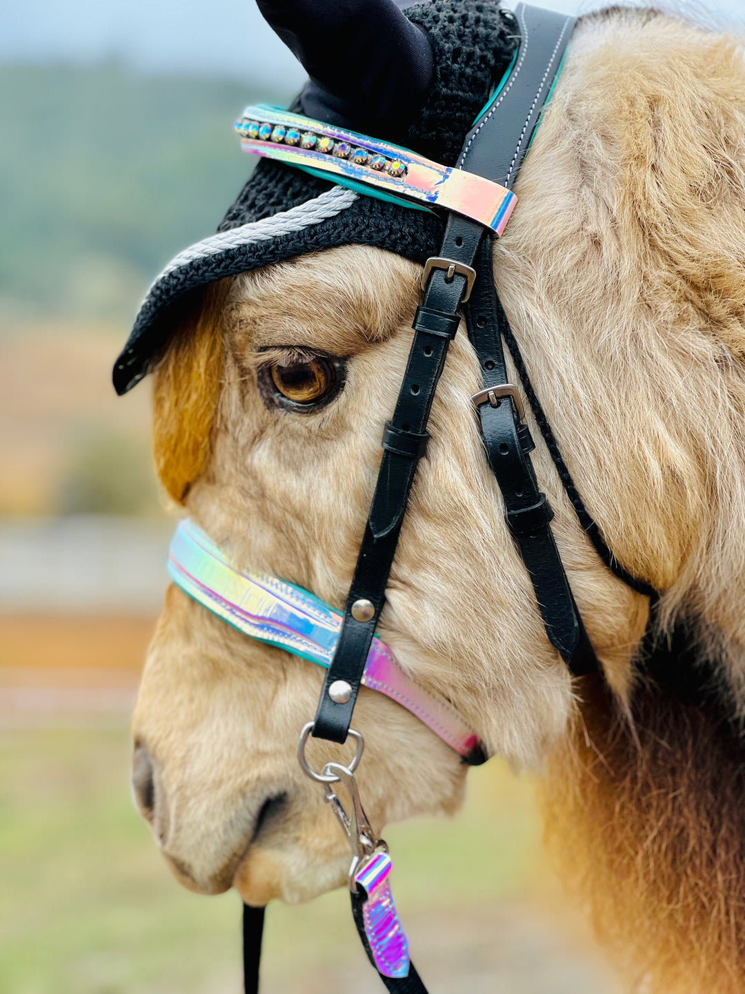 Holographic Leather Horse Halter - Mini to Horse Size